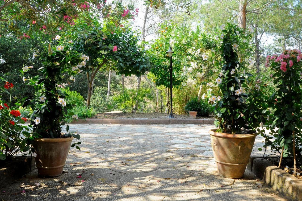 Agriresort Villa Bentivoglio 皮亚扎-阿尔梅里纳 外观 照片