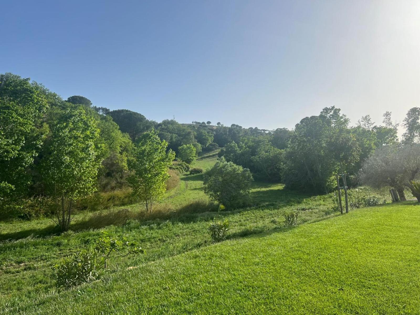 Agriresort Villa Bentivoglio 皮亚扎-阿尔梅里纳 外观 照片
